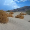 featured article photo